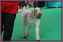 09-03-12 M GoodAsGold_IMG_9673